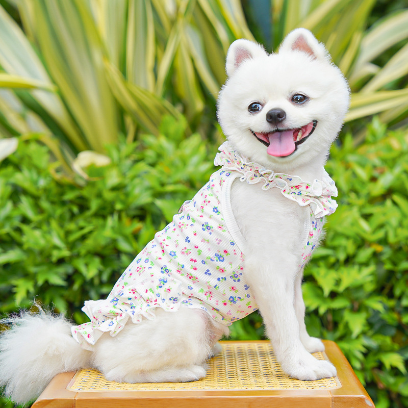 Robe florale tendance pour chi - Summer Loving Clothing avis et prix