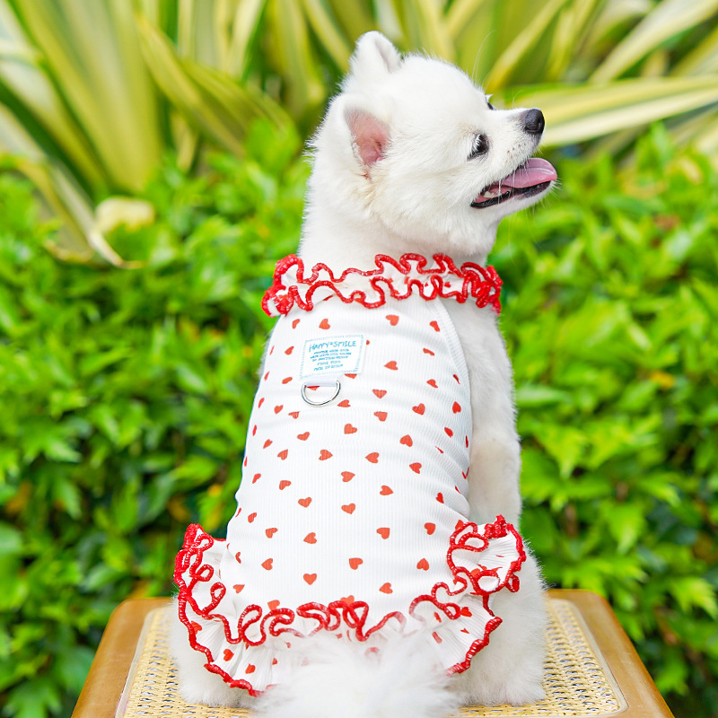 Robe florale tendance pour chi - Summer Loving Clothing avis et prix