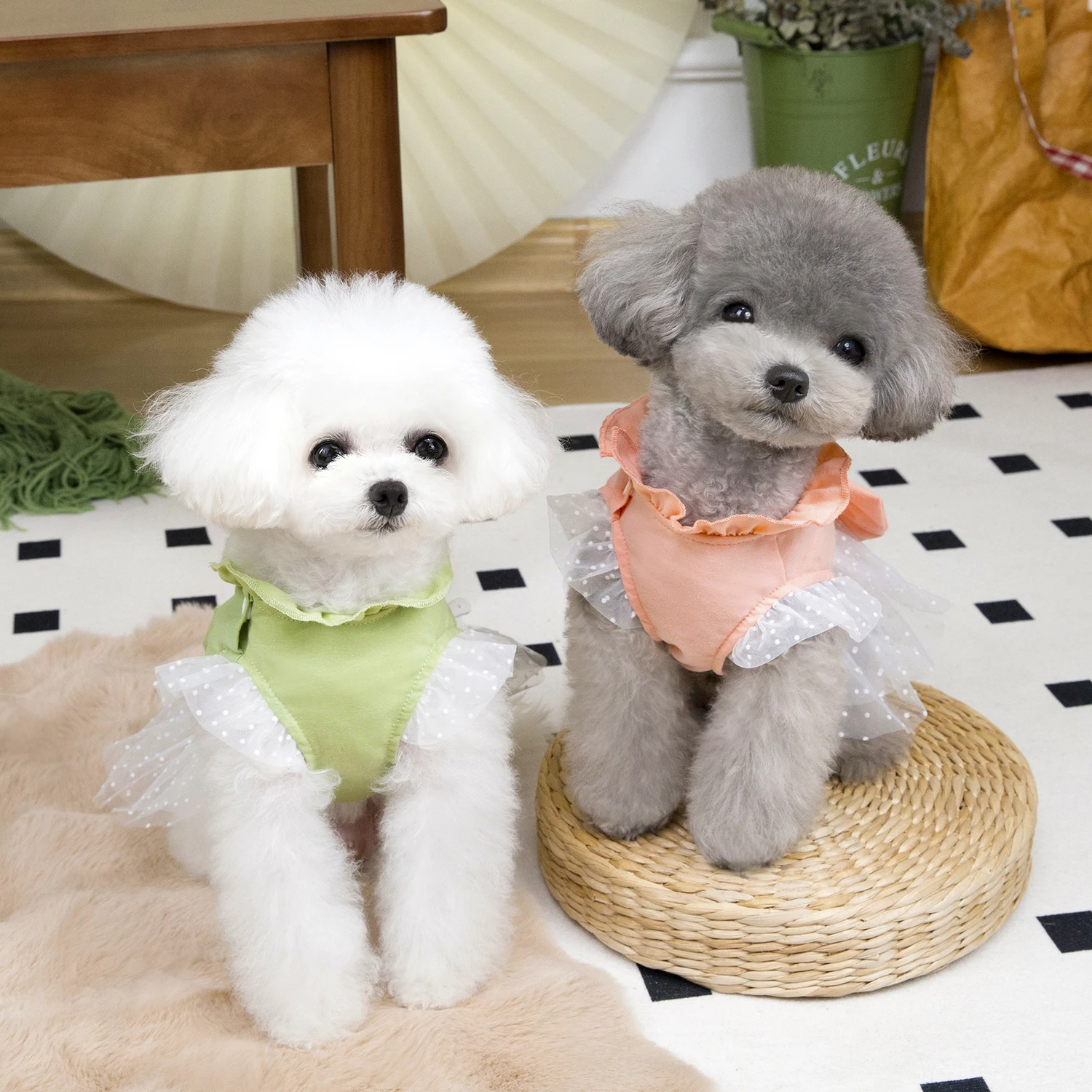 Robe d'été pour chien mignon,  - Summer Loving Clothing avis et prix